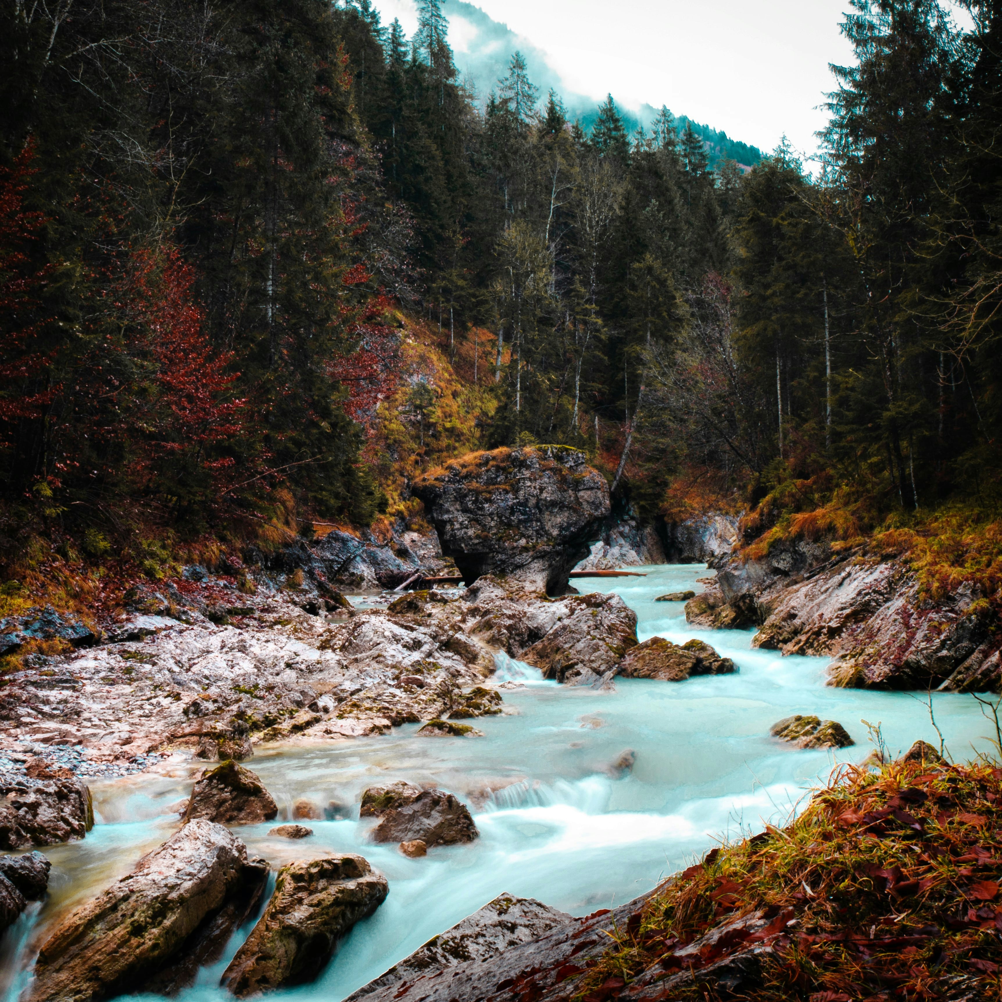Ein Foto der Empfehlung Gleierschklamm